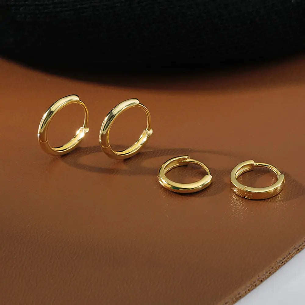 Stainless Steel Minimalist Hoop Earrings