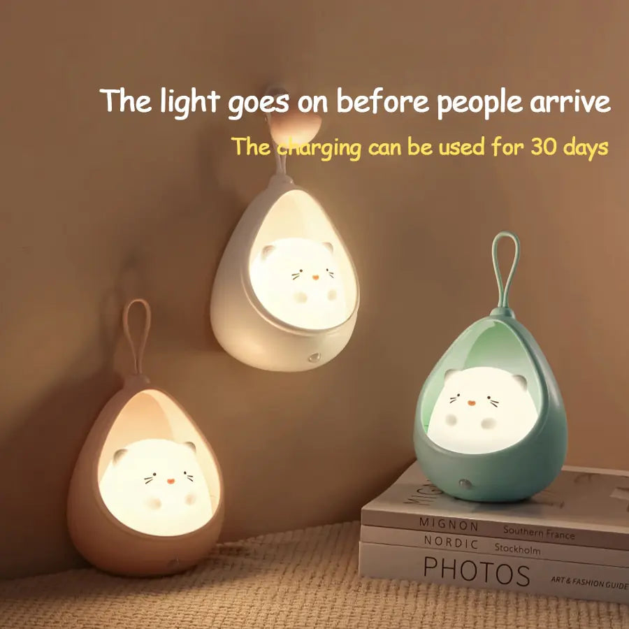 Motion Sensor LED Night Light