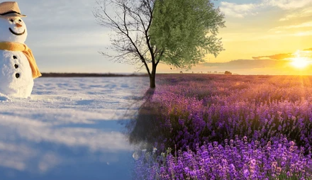 March Into Spring: Fresh Styles & New Beginnings at Stark Haven