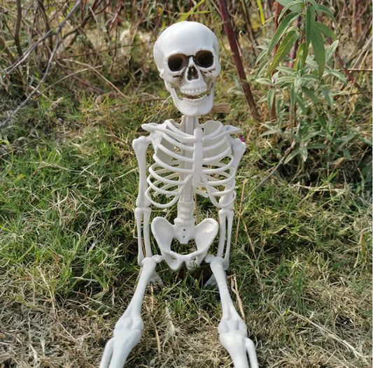 Life-Sized Halloween Skeleton