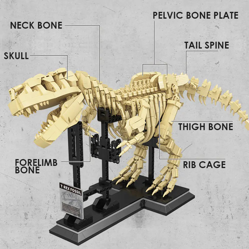 T-Rex Building Blocks